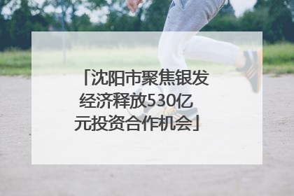 沈阳市聚焦银发经济释放530亿元投资合作机会