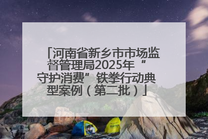 河南省新乡市市场监督管理局2025年“守护消费”铁拳行动典型案例（第二批）