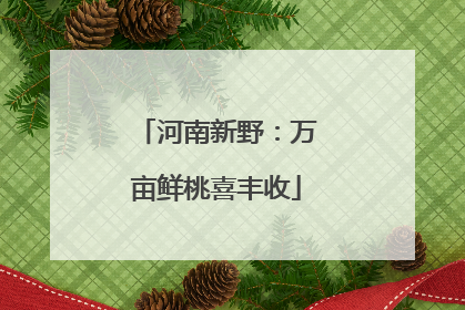 河南新野：万亩鲜桃喜丰收