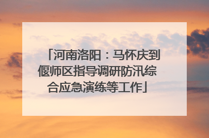 河南洛阳：马怀庆到偃师区指导调研防汛综合应急演练等工作