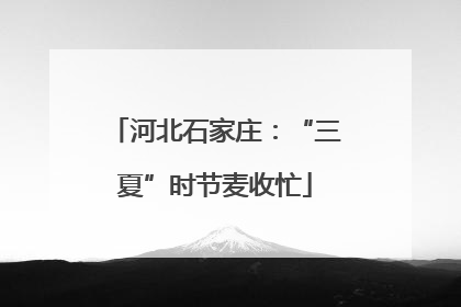 河北石家庄：“三夏”时节麦收忙
