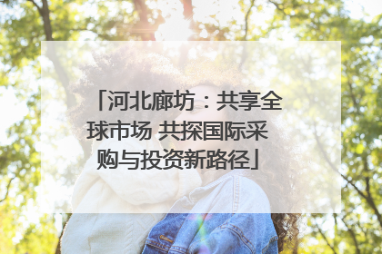 河北廊坊：共享全球市场 共探国际采购与投资新路径