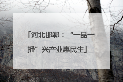 河北邯郸：“一品一播”兴产业惠民生