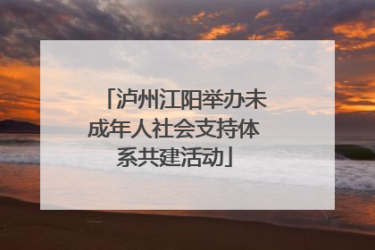 泸州江阳举办未成年人社会支持体系共建活动