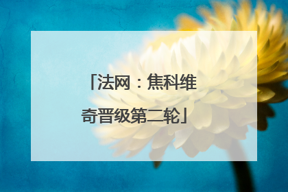 法网：焦科维奇晋级第二轮