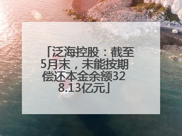 泛海控股：截至5月末，未能按期偿还本金余额328.13亿元