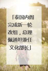 泰国内阁完成新一轮改组，总理佩通坦兼任文化部长