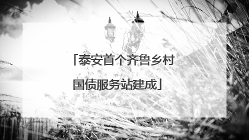 泰安首个齐鲁乡村国债服务站建成
