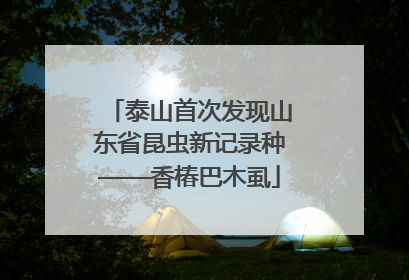 泰山首次发现山东省昆虫新记录种——香椿巴木虱