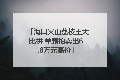 海口火山荔枝王大比拼 单颗拍卖出6.8万元高价