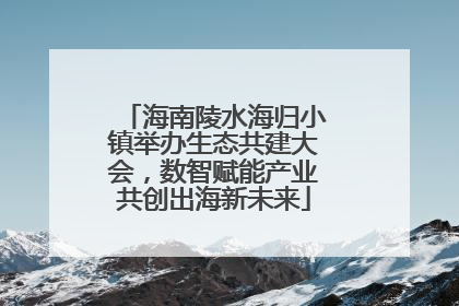海南陵水海归小镇举办生态共建大会，数智赋能产业共创出海新未来