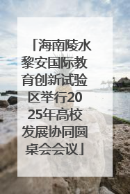 海南陵水黎安国际教育创新试验区举行2025年高校发展协同圆桌会会议