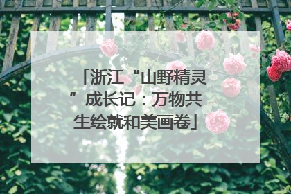 浙江“山野精灵”成长记：万物共生绘就和美画卷