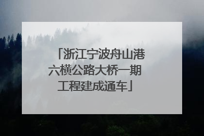 浙江宁波舟山港六横公路大桥一期工程建成通车