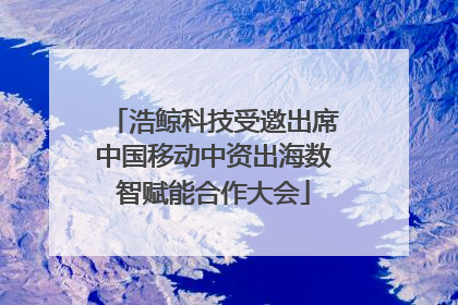 浩鲸科技受邀出席中国移动中资出海数智赋能合作大会