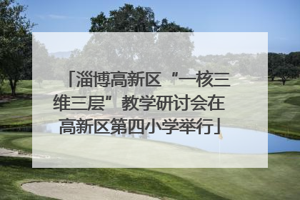 淄博高新区“一核三维三层”教学研讨会在高新区第四小学举行
