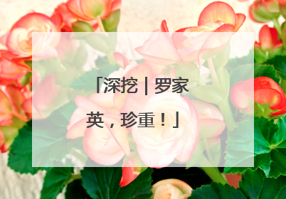 深挖｜罗家英，珍重！
