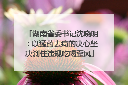 湖南省委书记沈晓明：以猛药去疴的决心坚决刹住违规吃喝歪风