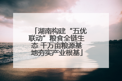 湖南构建“五优联动”粮食全链生态 千万亩粮源基地夯实产业根基