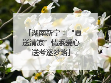 湖南新宁：“夏送清凉”情系爱心送考逐梦路
