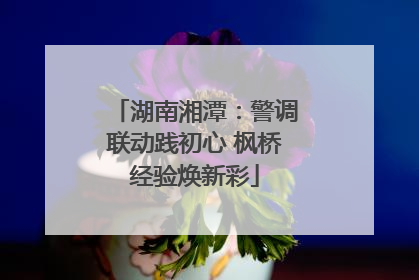 湖南湘潭:警调联动践初心 枫桥经验焕新彩