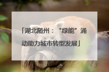 湖北随州：“绿能”涌动助力城市转型发展