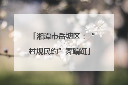 湘潭市岳塘区：“村规民约”舞蹁跹