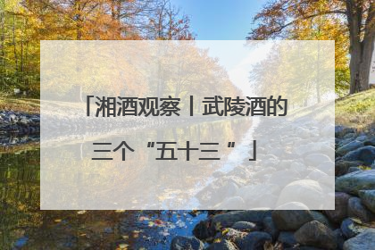 湘酒观察丨武陵酒的三个“五十三 ”