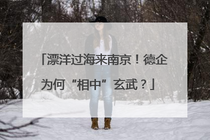 漂洋过海来南京！德企为何“相中”玄武？