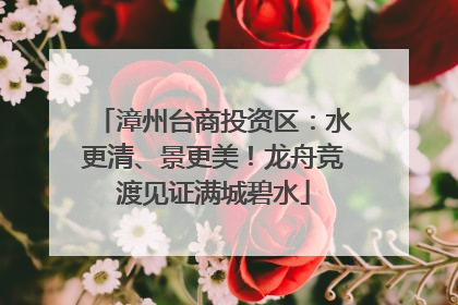 漳州台商投资区：水更清、景更美！龙舟竞渡见证满城碧水