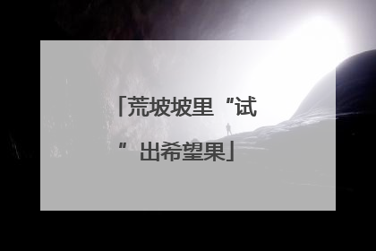 荒坡坡里“试”出希望果