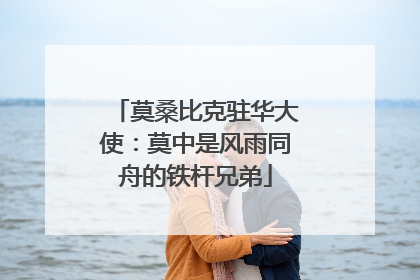 莫桑比克驻华大使：莫中是风雨同舟的铁杆兄弟