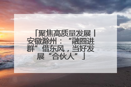 聚焦高质量发展丨安徽滁州：“融圈进群”借东风，当好发展“合伙人”