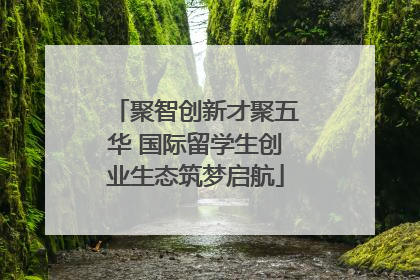 聚智创新才聚五华 国际留学生创业生态筑梦启航