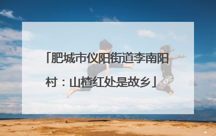 肥城市仪阳街道李南阳村：山楂红处是故乡