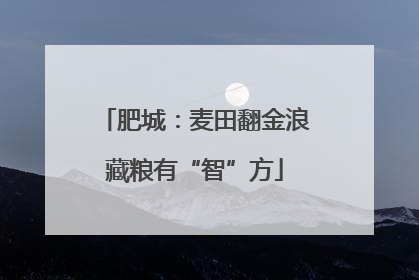 肥城：麦田翻金浪藏粮有“智”方