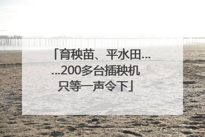 育秧苗、平水田……200多台插秧机只等一声令下