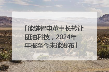 能链智电董事长转让团油科技，2024年年报至今未能发布