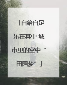 自给自足 乐在其中 城市里的空中“田园梦”