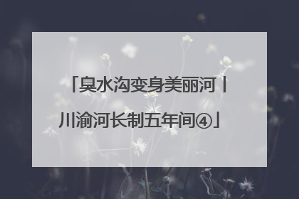 臭水沟变身美丽河丨川渝河长制五年间④