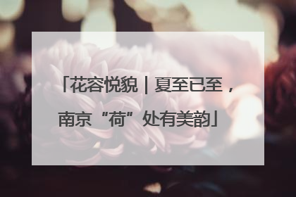 花容悦貌｜夏至已至，南京“荷”处有美韵