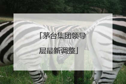 茅台集团领导层最新调整