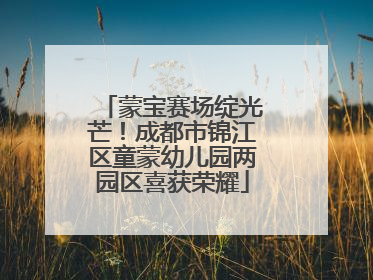 蒙宝赛场绽光芒！成都市锦江区童蒙幼儿园两园区喜获荣耀