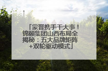 蒙晋携手干大事！锦颐集团山西布局全揭秘：五大品牌矩阵+双轮驱动模式