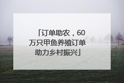 订单助农，60万只甲鱼养殖订单助力乡村振兴