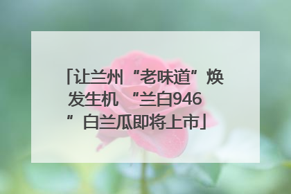 让兰州“老味道”焕发生机 “兰白946”白兰瓜即将上市