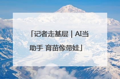 记者走基层｜AI当助手 育苗像带娃