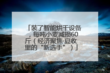 装了智能烘干设备，每吨小麦减损60斤（经济聚焦·夏收里的“新选手”）