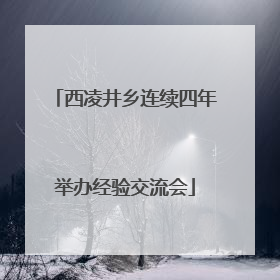 西凌井乡连续四年举办经验交流会