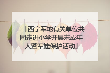 西宁军地有关单位共同走进小学开展未成年人暨军娃保护活动